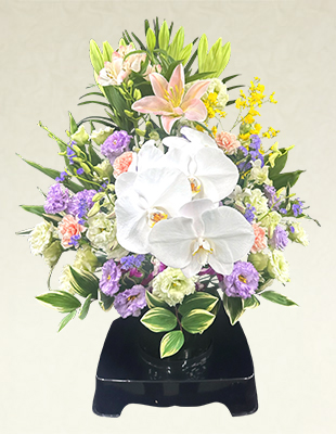 枕花【M1】