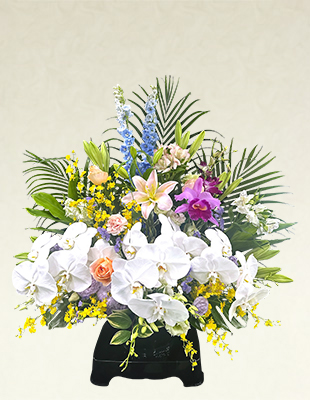 枕花【M2】