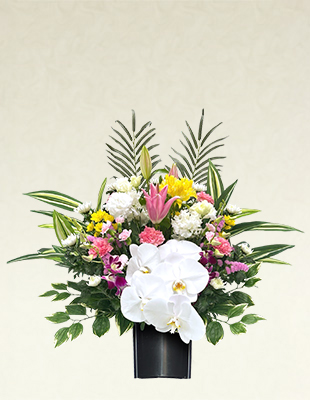 生花【S2】
