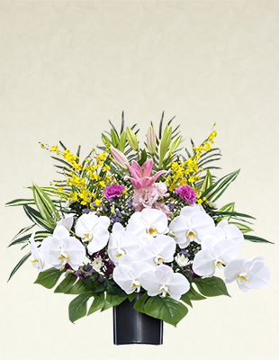 生花【S3】