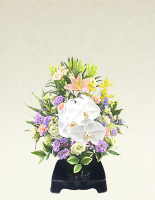 枕花【M1】